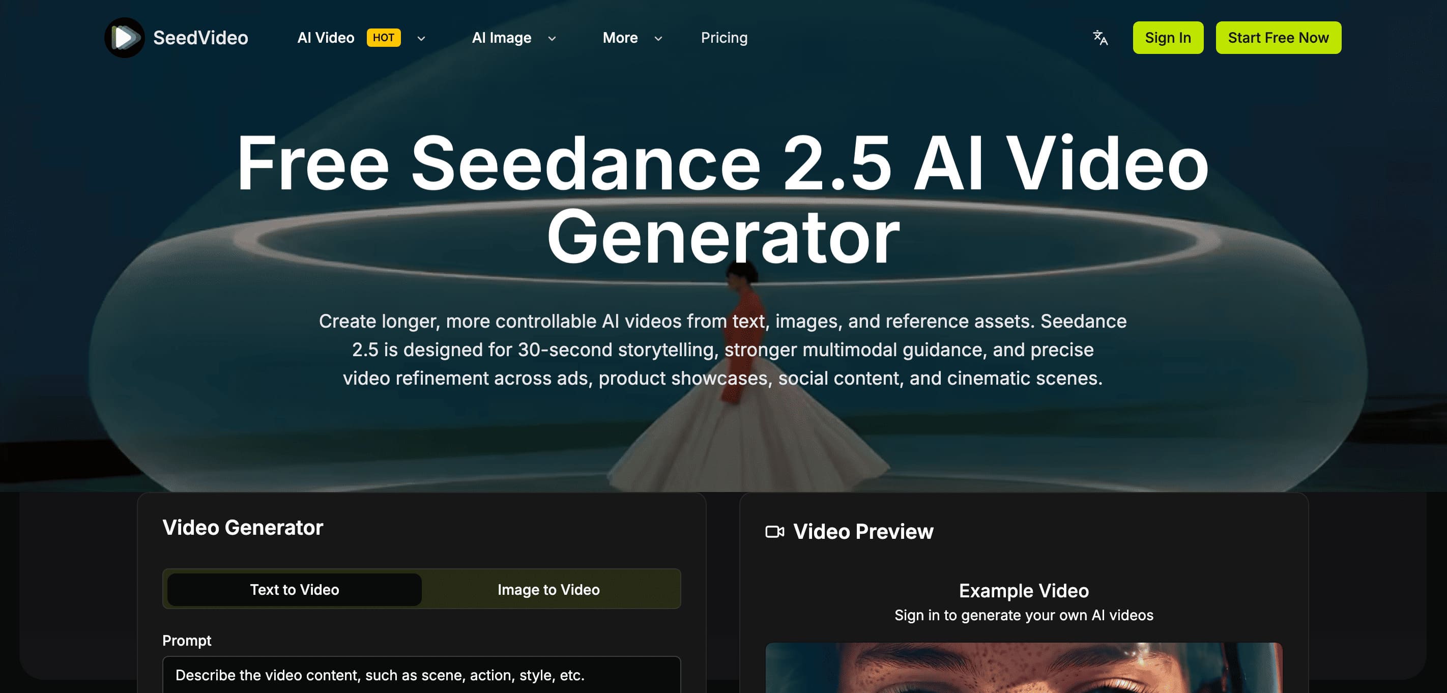 seedvideo preview